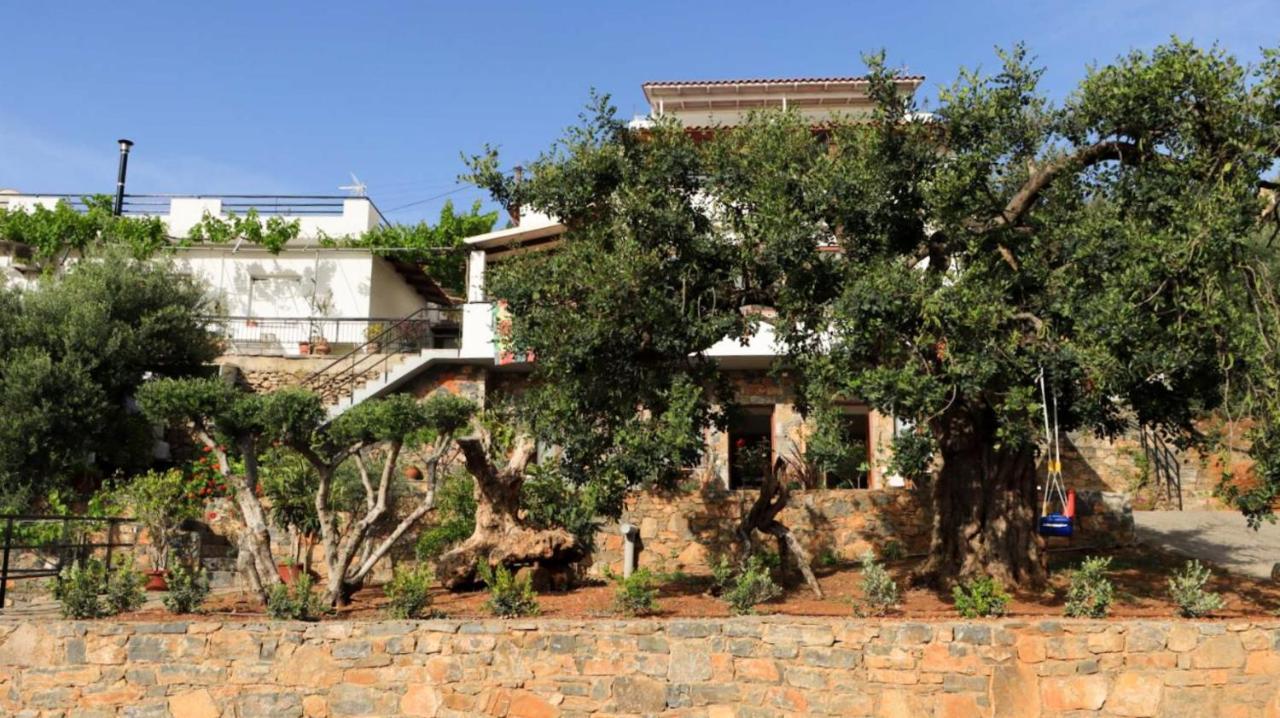 Comfortable Apartment With Garden - Casa Con Vista Havania Exteriér fotografie